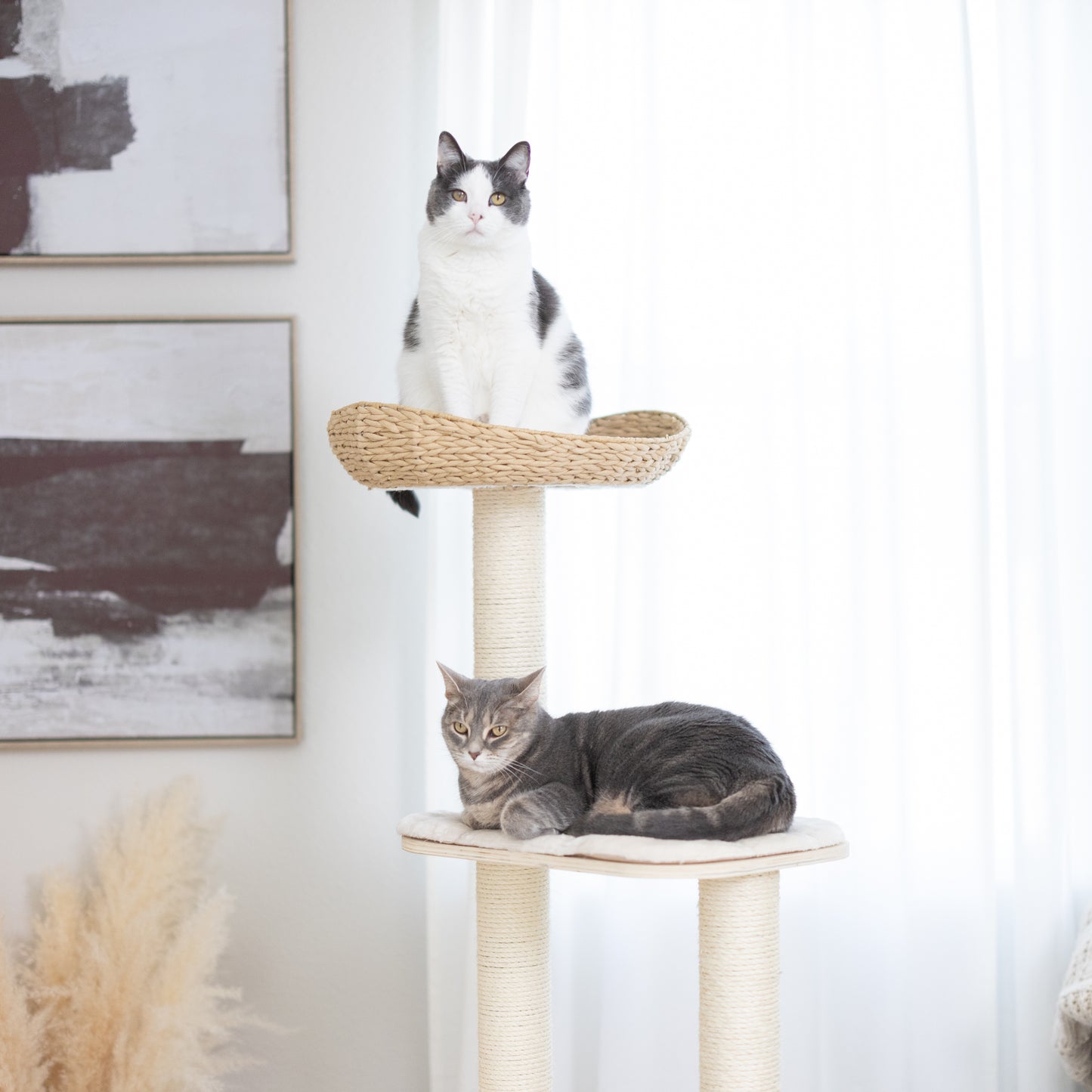 Abbie - Arbre à chat en contreplaqué