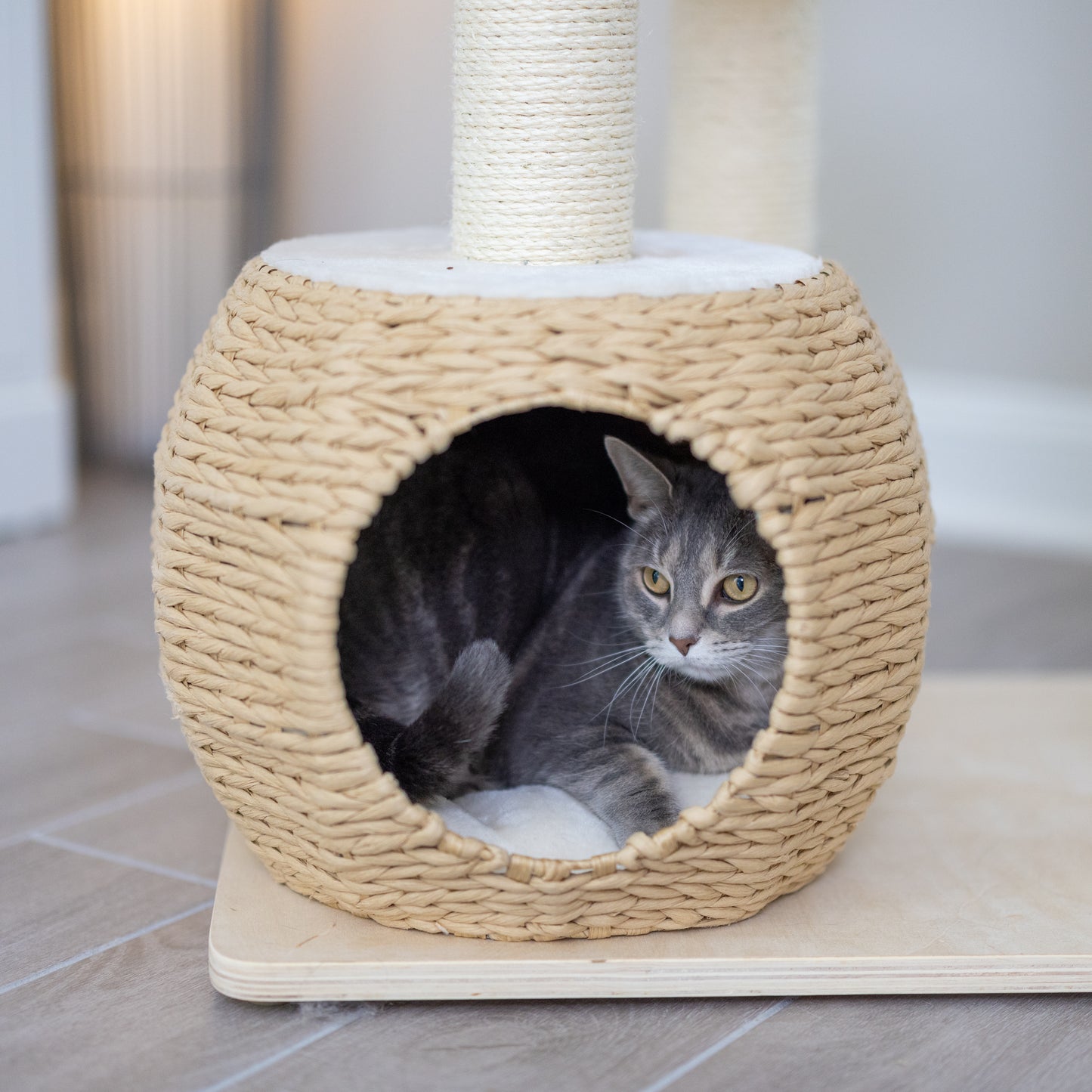 Abbie - Arbre à chat en contreplaqué