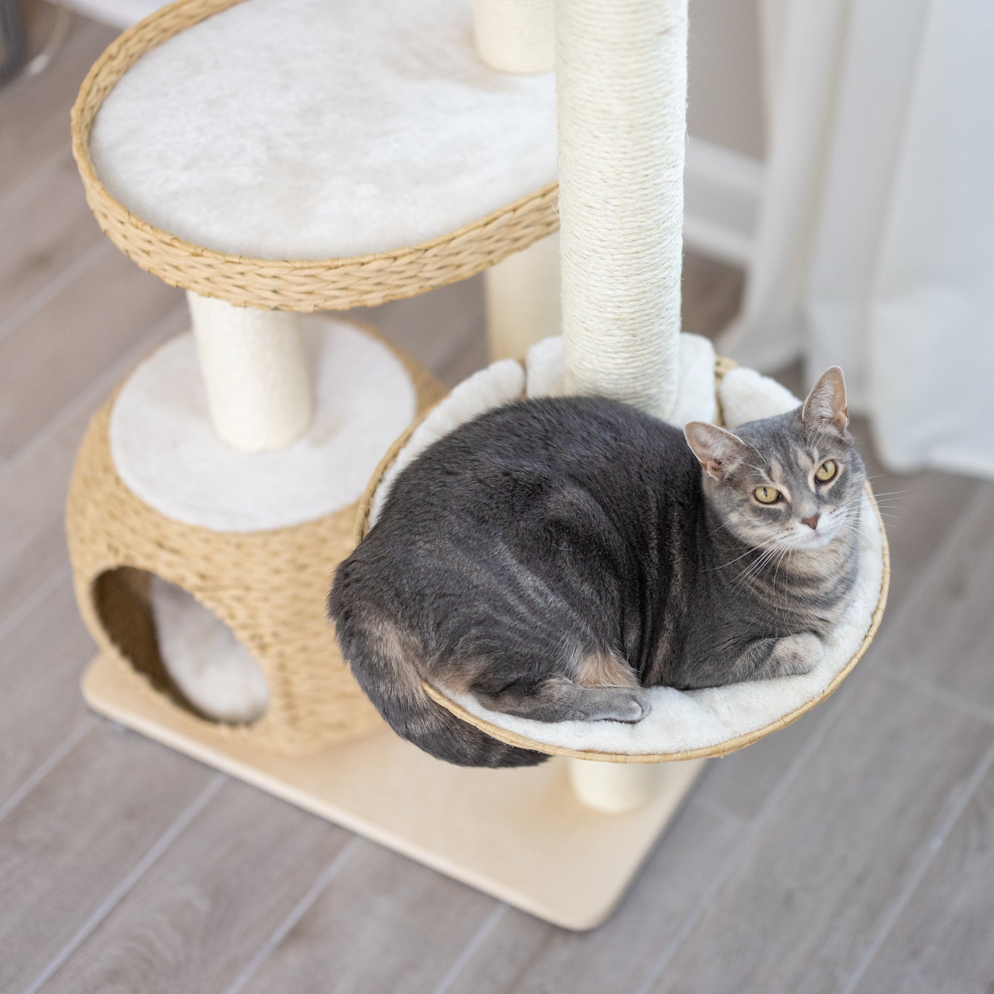 Abbie - Arbre à chat en contreplaqué
