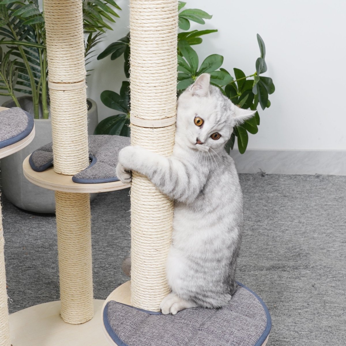 Cleo - Plywood Cat Tree - AGILE