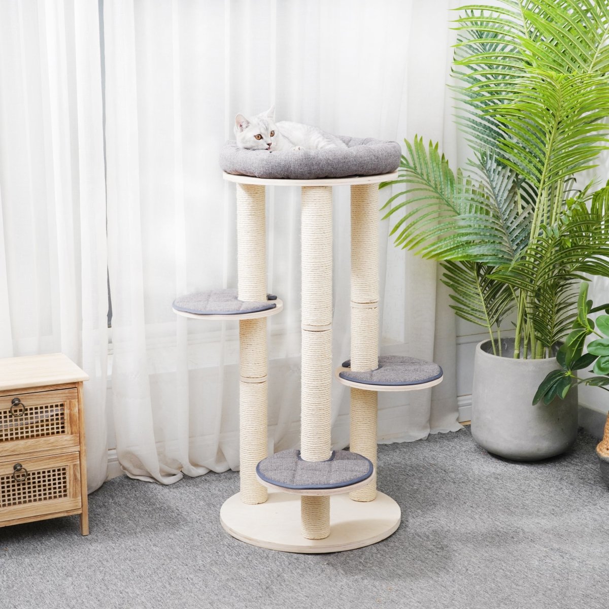 Cleo - Plywood Cat Tree - AGILE