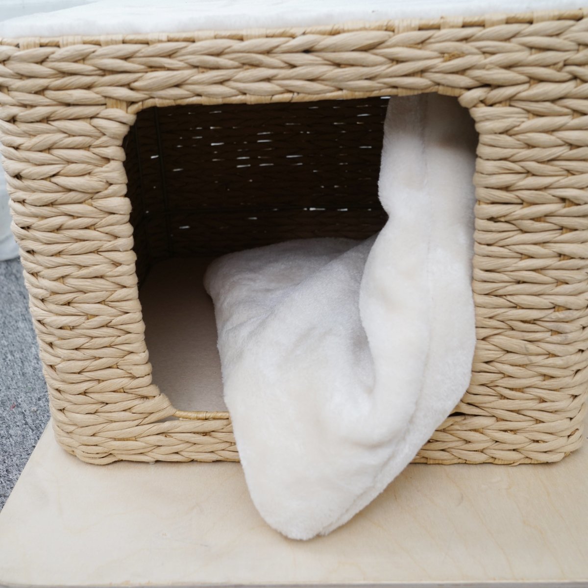 Ella - Plywood Cat Tree - AGILE