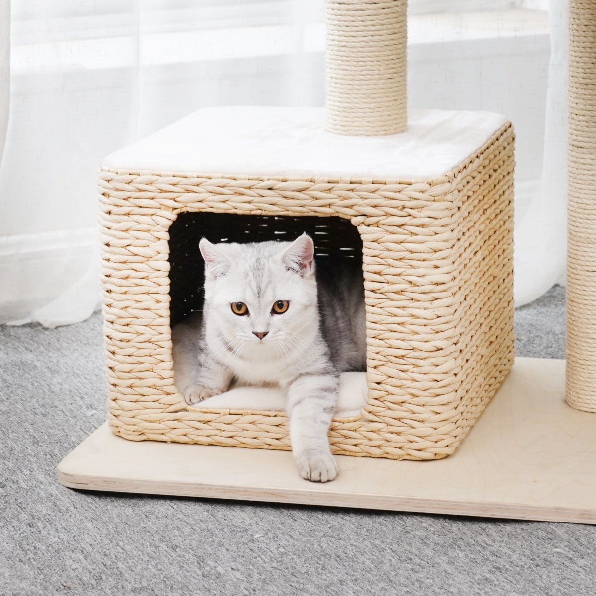 Ella - Plywood Cat Tree - AGILE