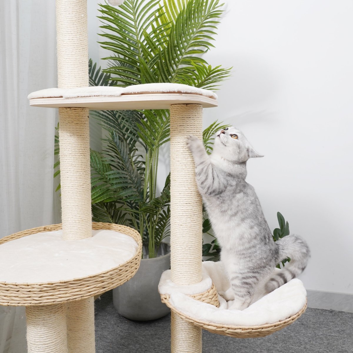 Josie - Plywood Cat Tree - AGILE