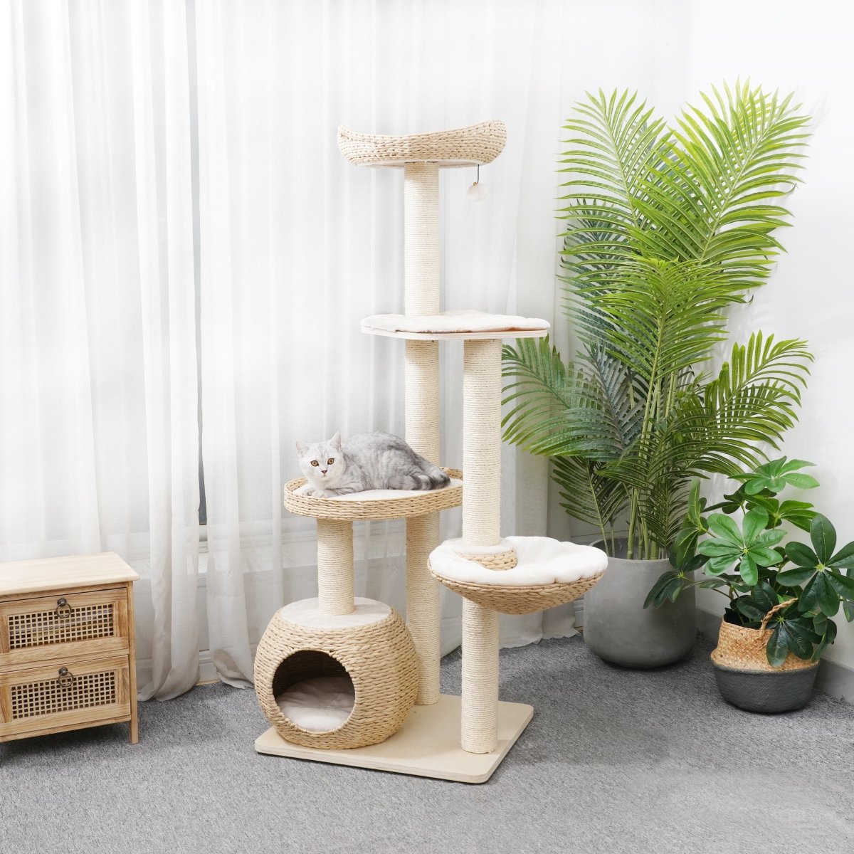 Josie - Plywood Cat Tree - AGILE