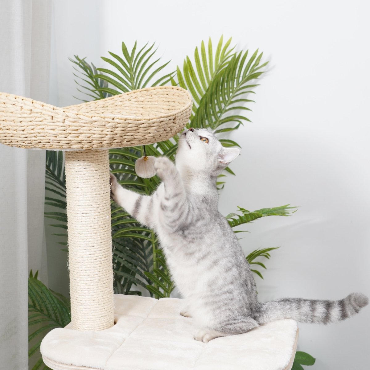 Josie - Plywood Cat Tree - AGILE