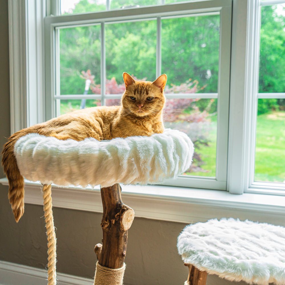 Lana - Real Branch Cat Tree - AGILE