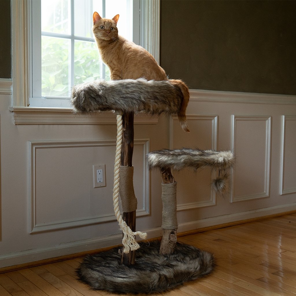 Lana - Real Branch Cat Tree - AGILE