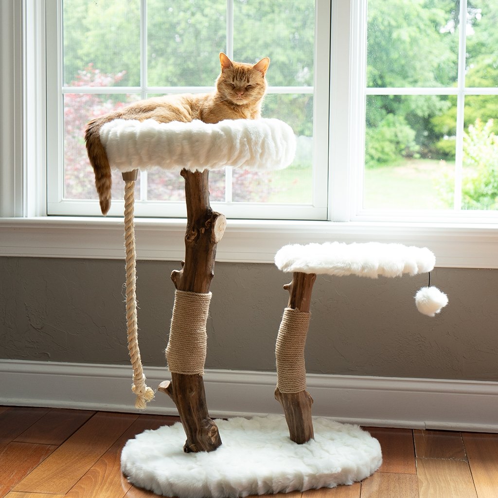 Lana - Real Branch Cat Tree - AGILE