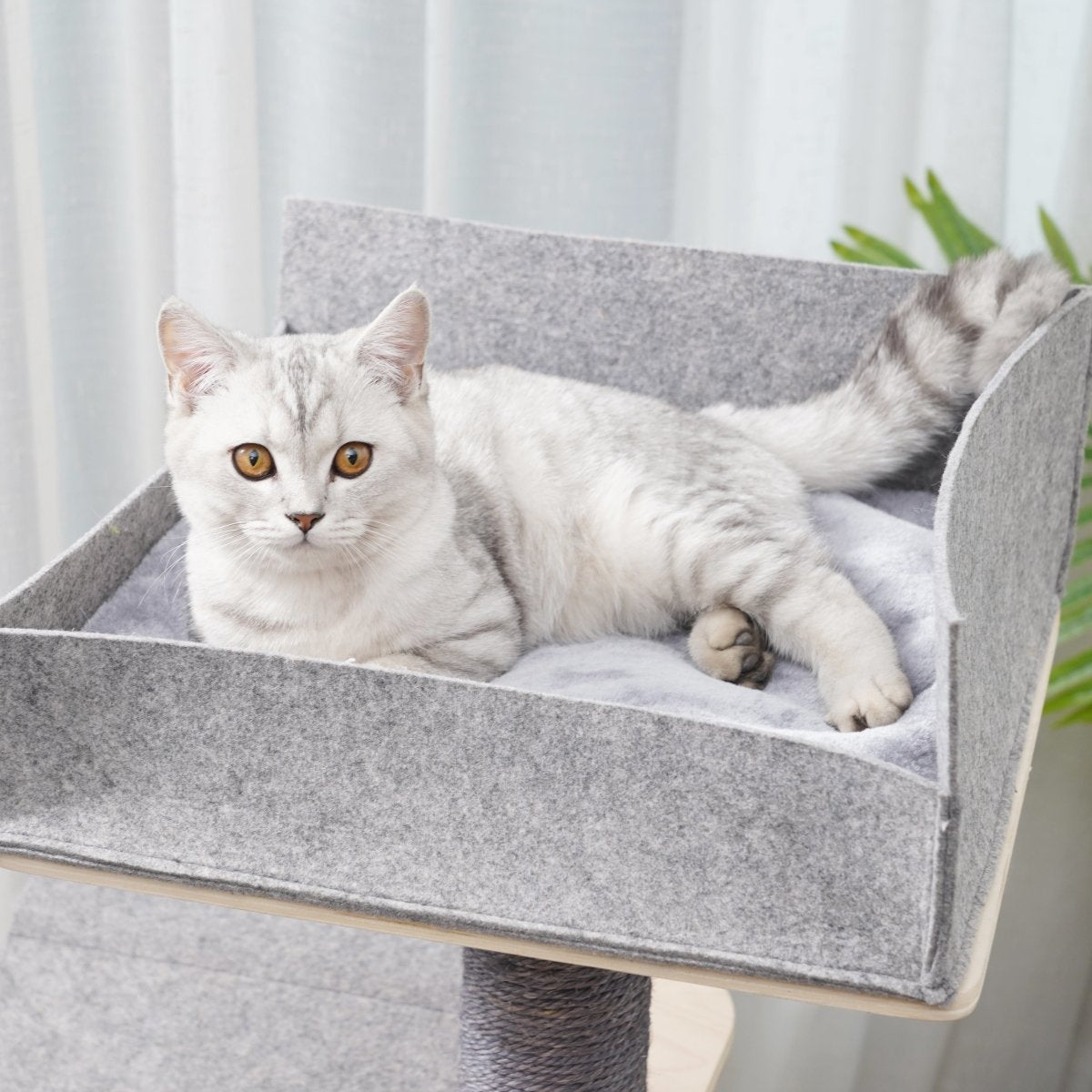 Luna - Plywood Cat Tree - AGILE
