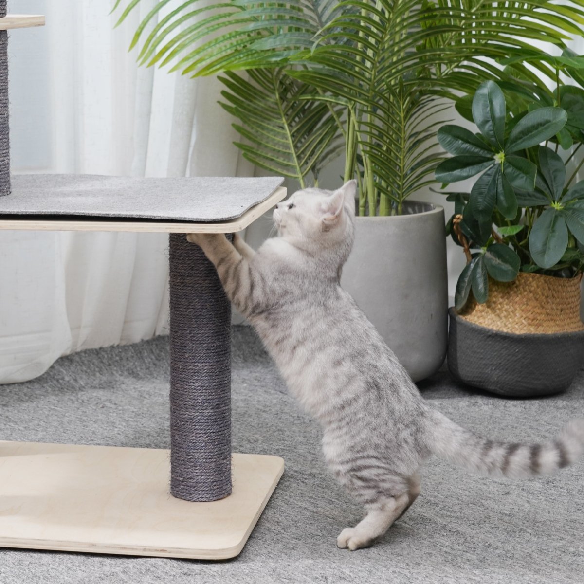 Luna - Plywood Cat Tree - AGILE