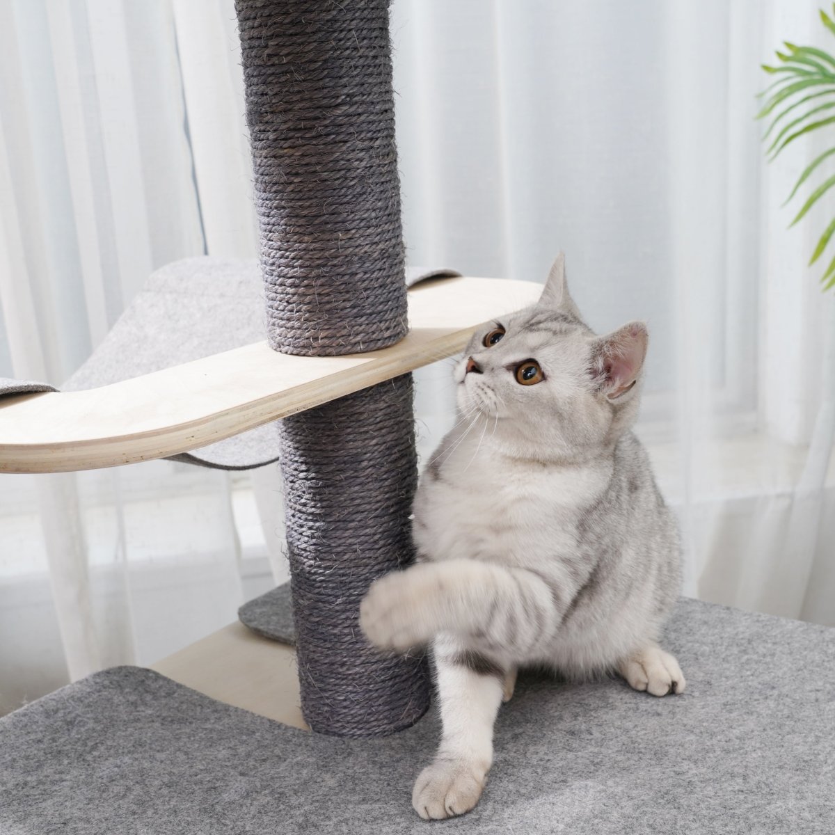 Luna - Plywood Cat Tree - AGILE