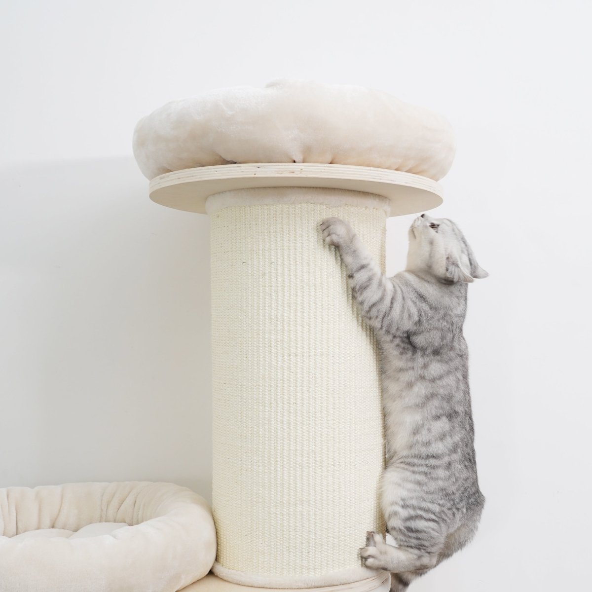 Oliver - Plywood Cat Tree - AGILE