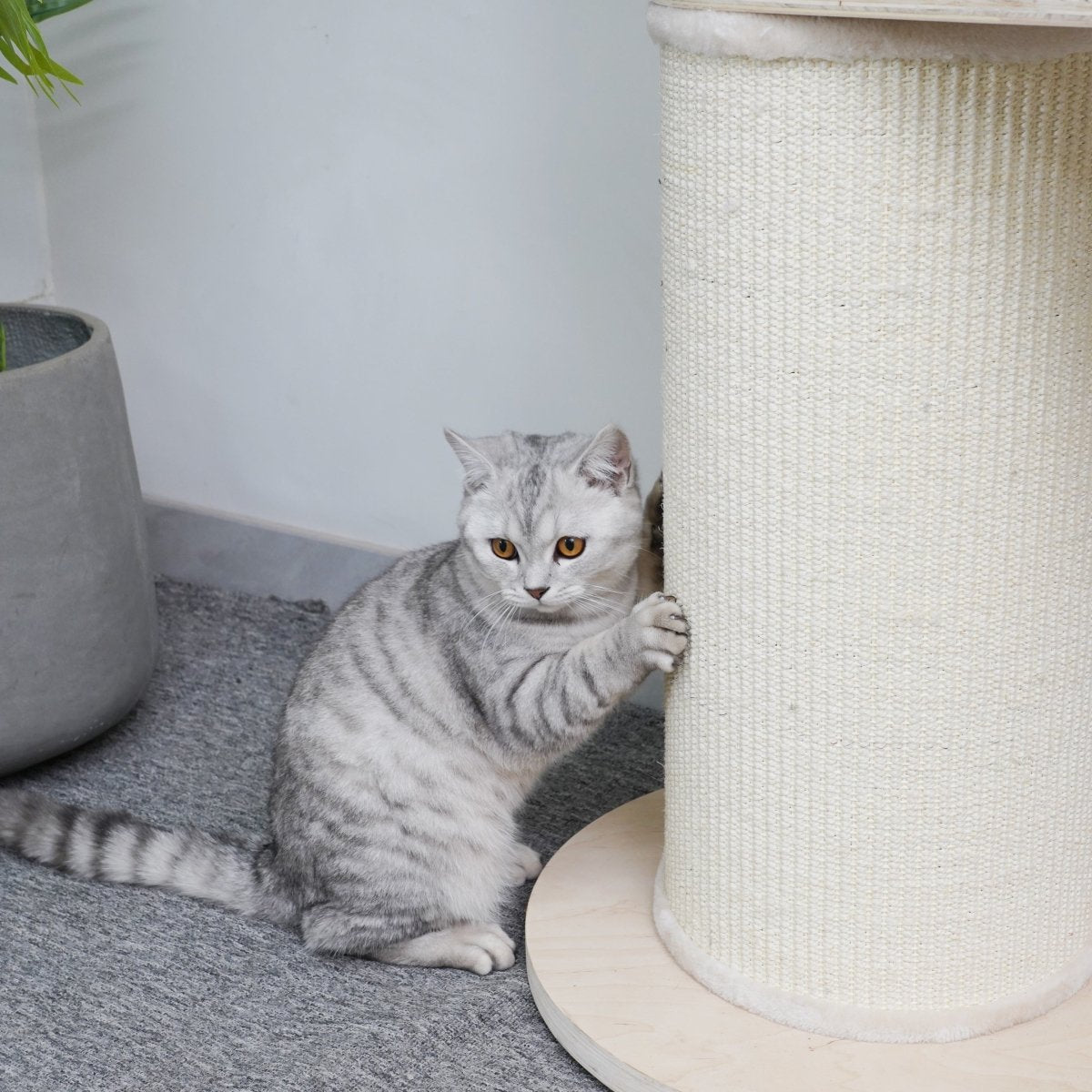 Oliver - Plywood Cat Tree - AGILE