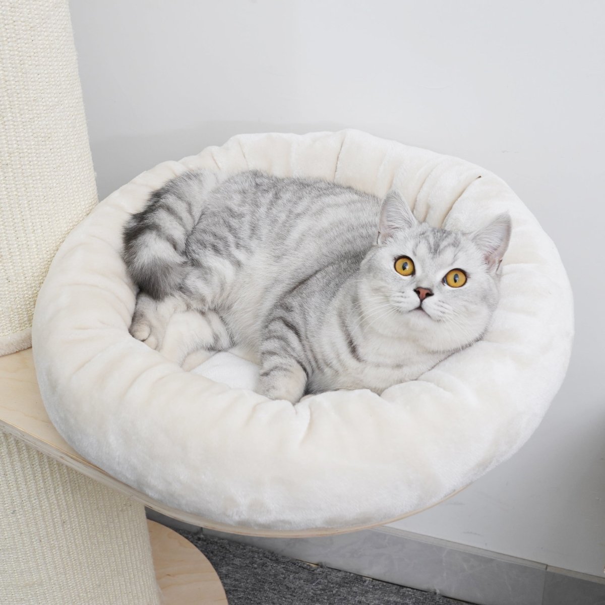 Oliver - Plywood Cat Tree - AGILE