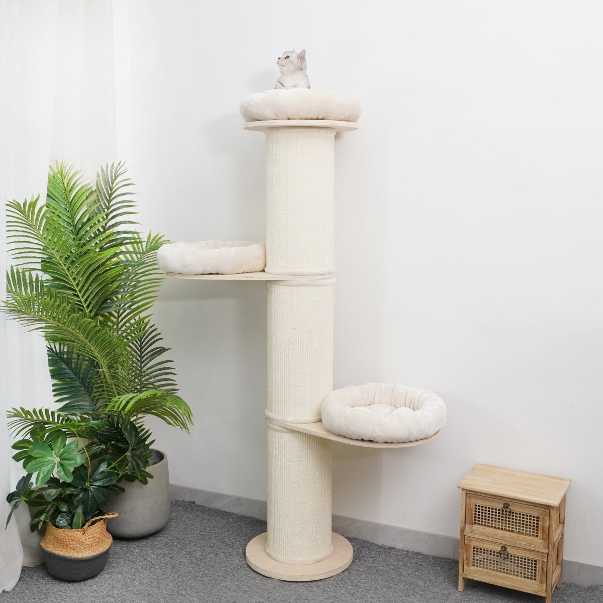 Oliver - Plywood Cat Tree - AGILE