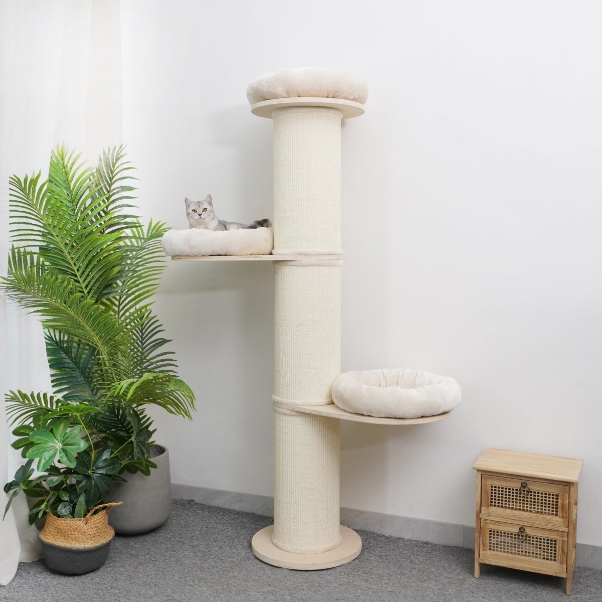 Oliver - Plywood Cat Tree - AGILE