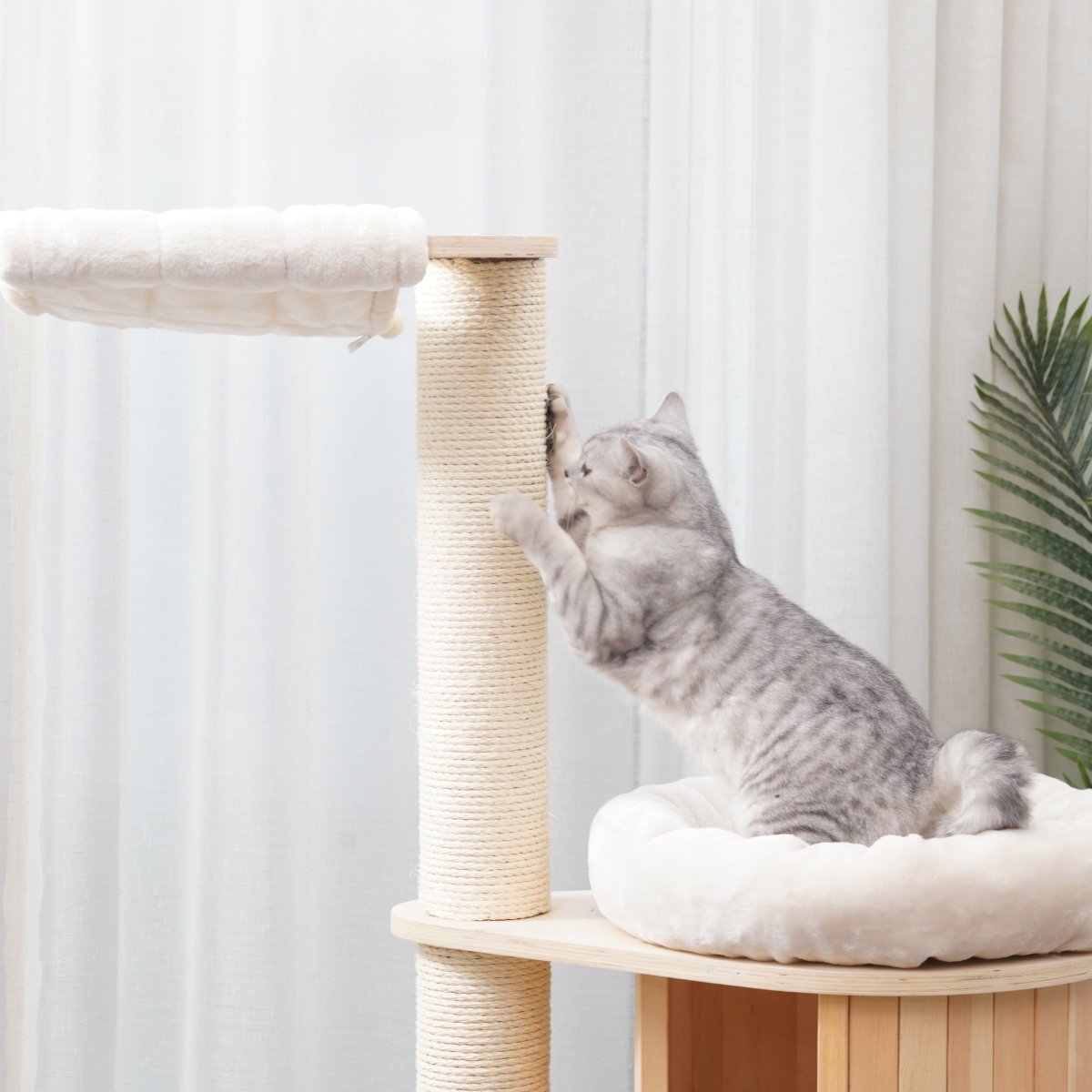 Ollie 145 cm - Plywood Cat Tree - AGILE