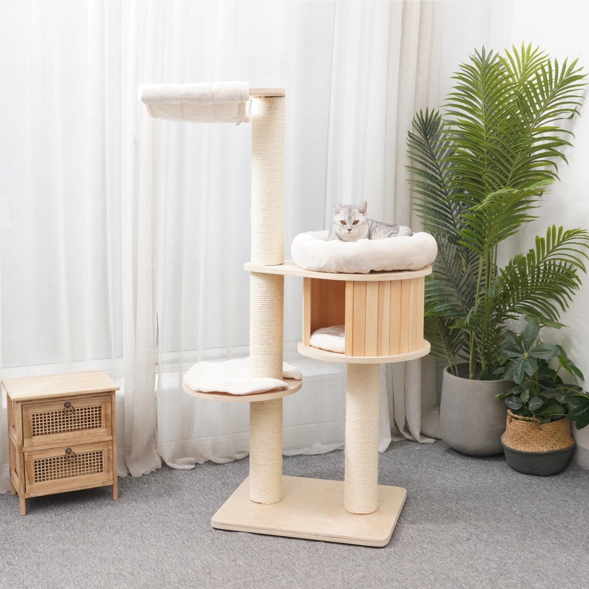 Ollie 145 cm - Plywood Cat Tree - AGILE