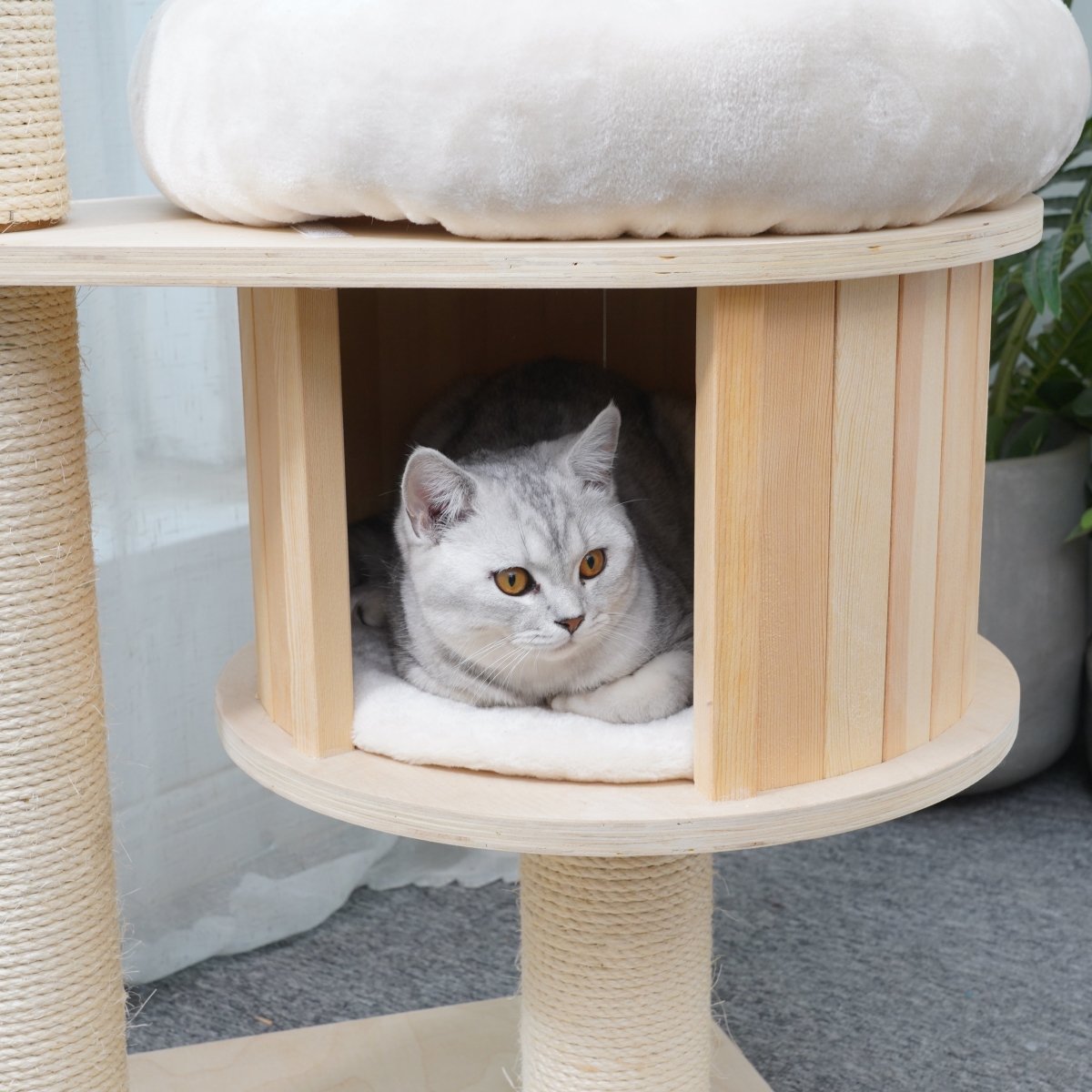 Ollie 145 cm - Plywood Cat Tree - AGILE