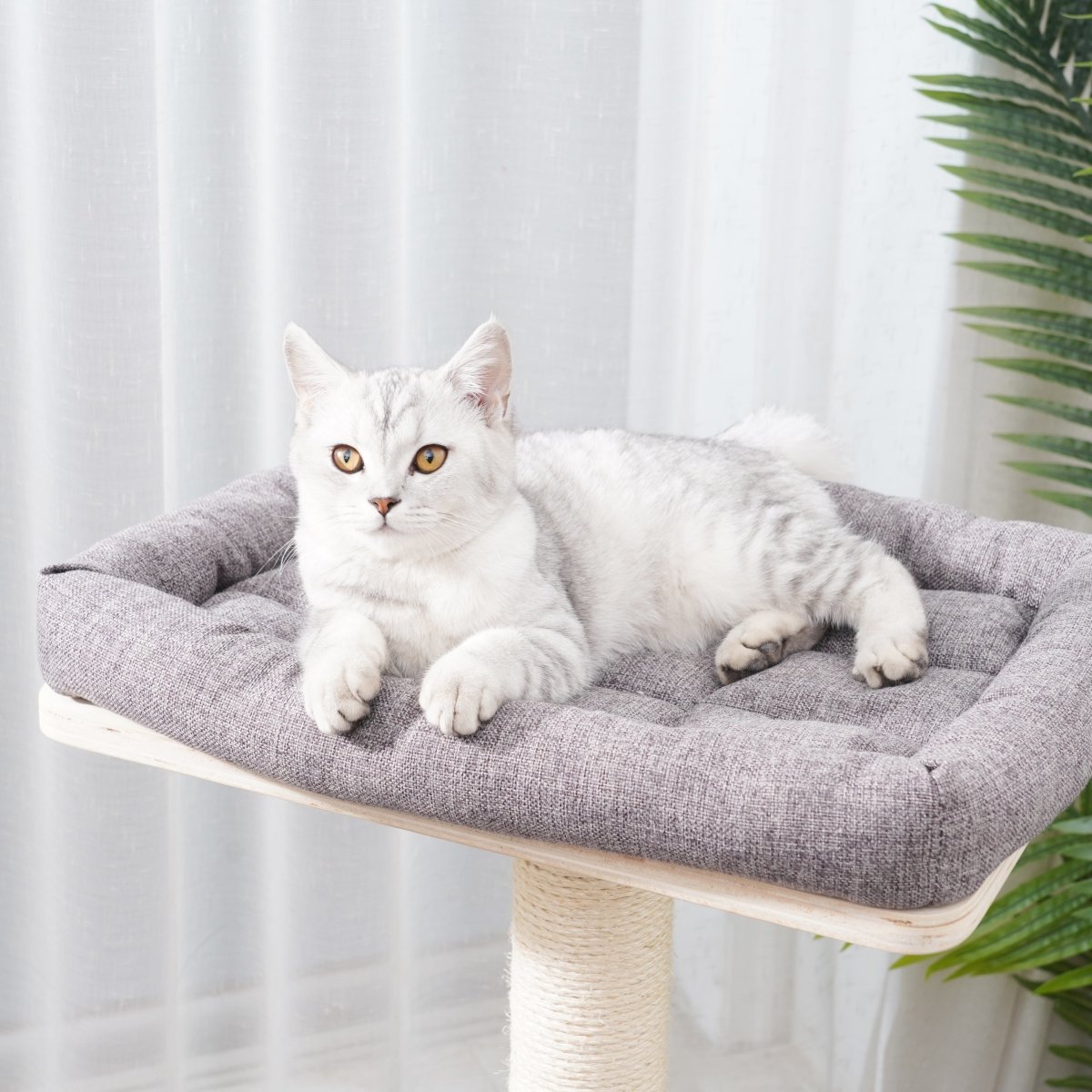 Sofia - Plywood Cat Tree - AGILE