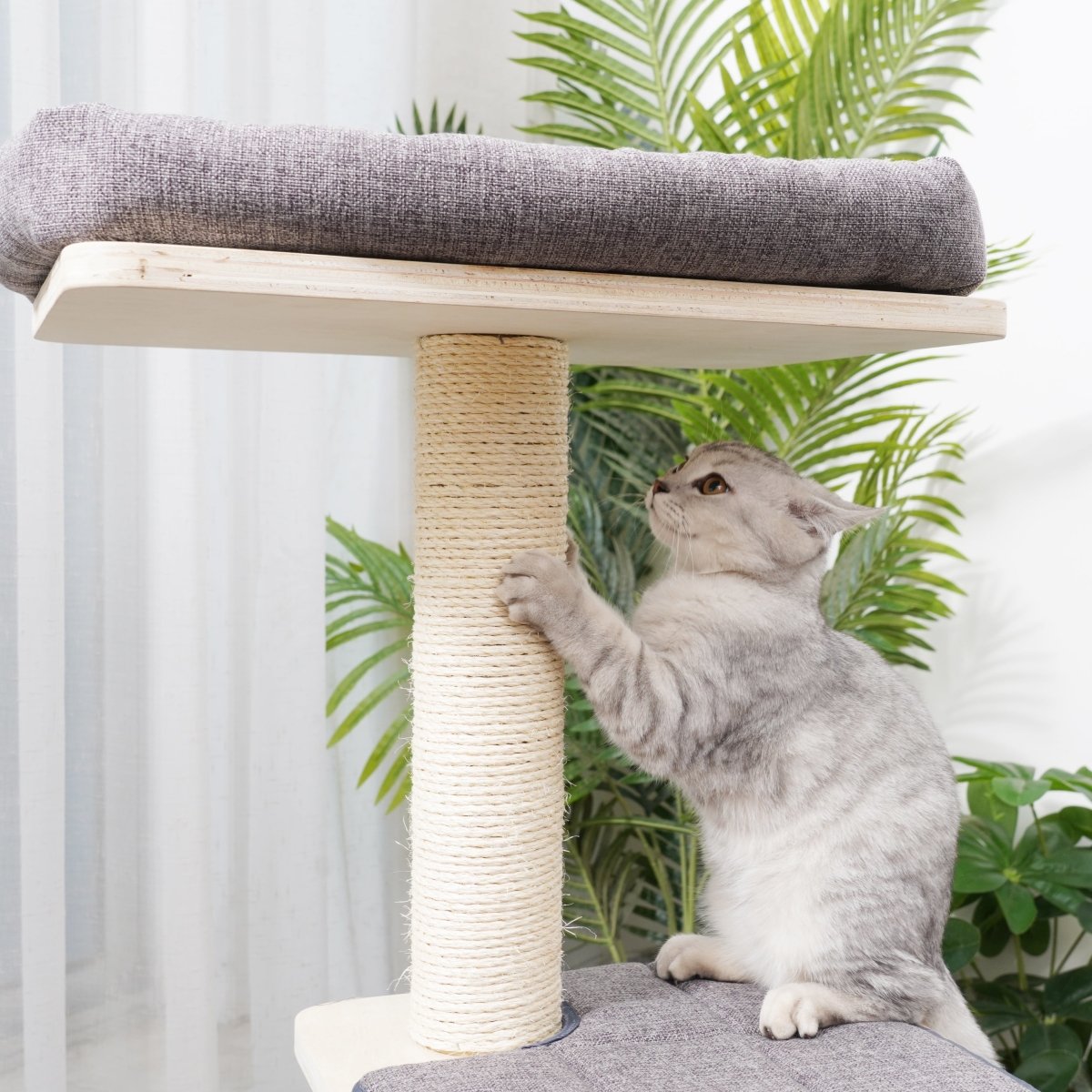 Sofia - Plywood Cat Tree - AGILE