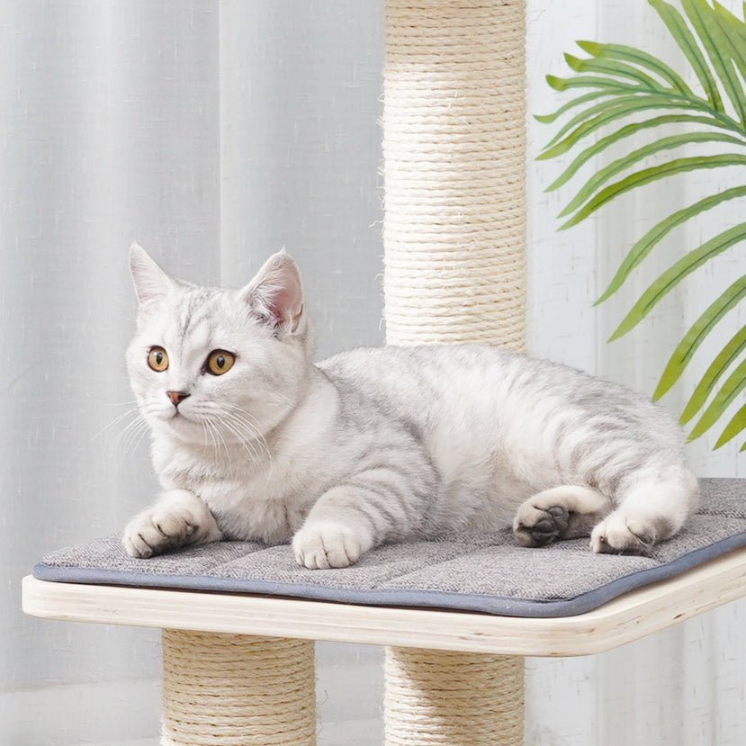 Sofia - Plywood Cat Tree - AGILE