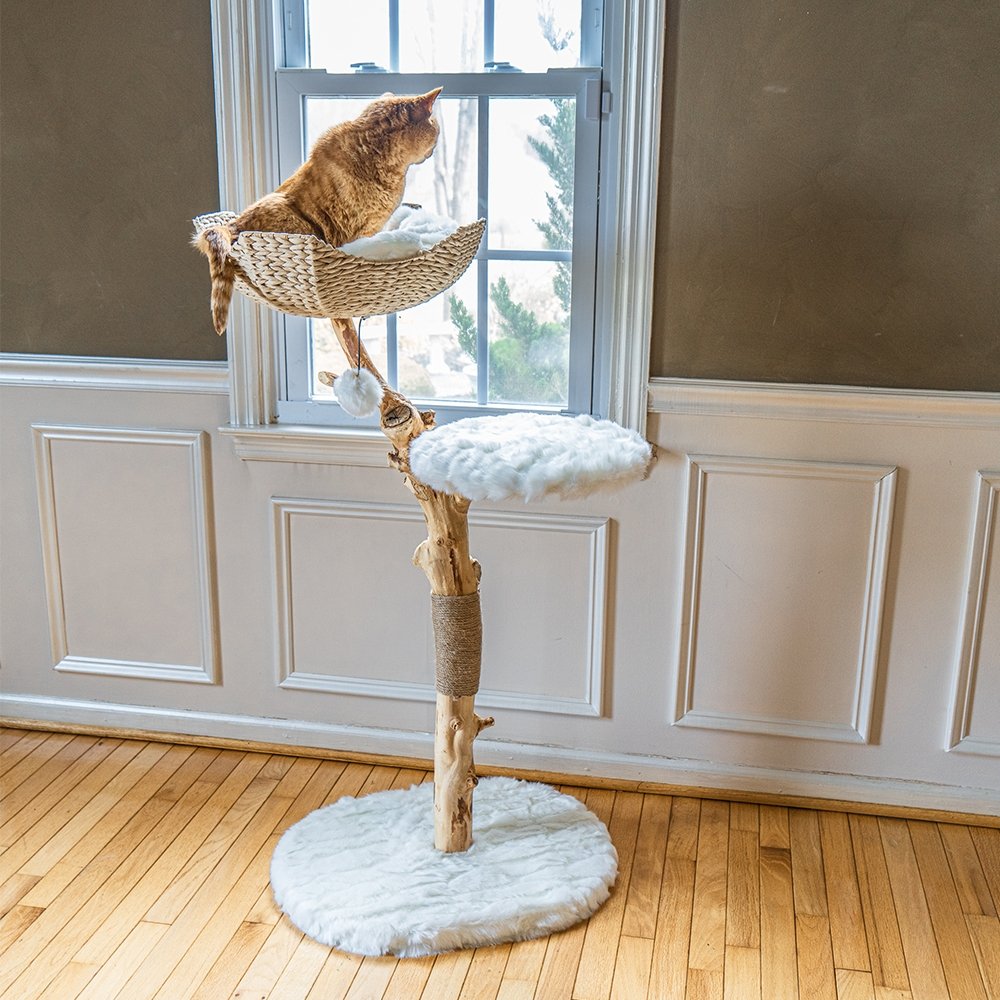 Stella - Real Branch Cat Tree - AGILE