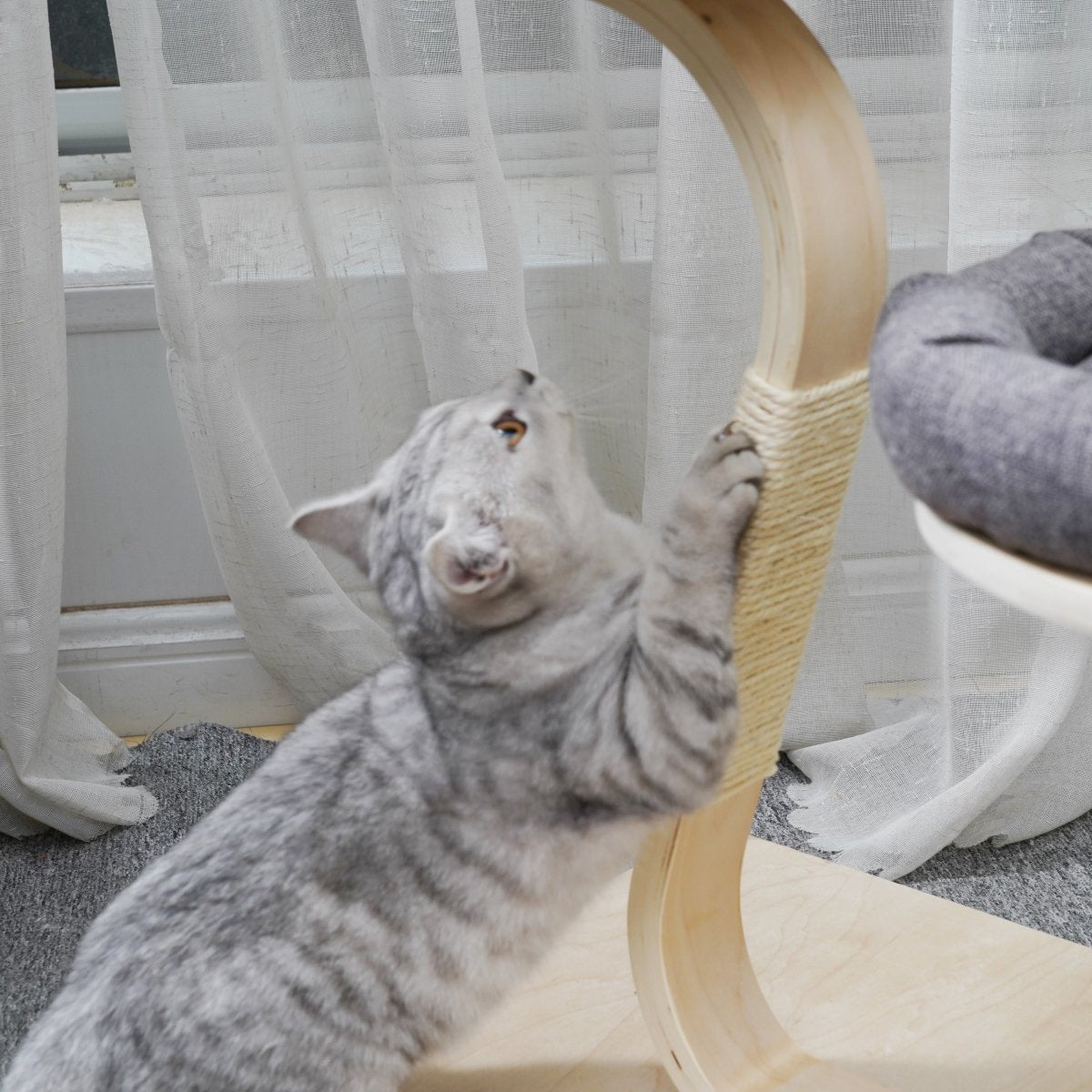 Willow - Plywood Cat Tree - AGILE