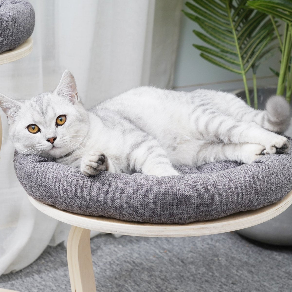 Willow - Plywood Cat Tree - AGILE