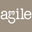 AGILE logo