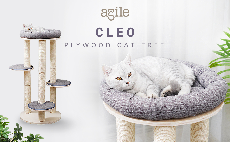 Cleo sales cat bed