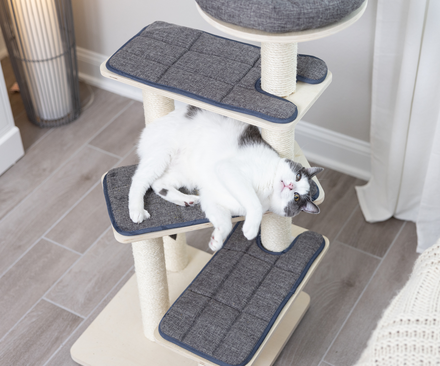 Modern cat tree clearance canada